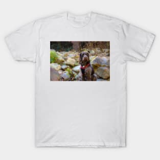 Monty Hiking Linville Gorge T-Shirt